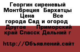 Георгин сиреневый. Монтбреция. Бархатцы.  › Цена ­ 100 - Все города Сад и огород » Другое   . Приморский край,Спасск-Дальний г.
